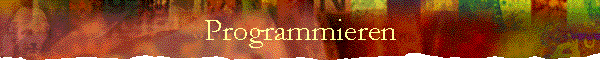 Programmieren
