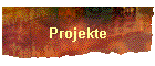 Projekte